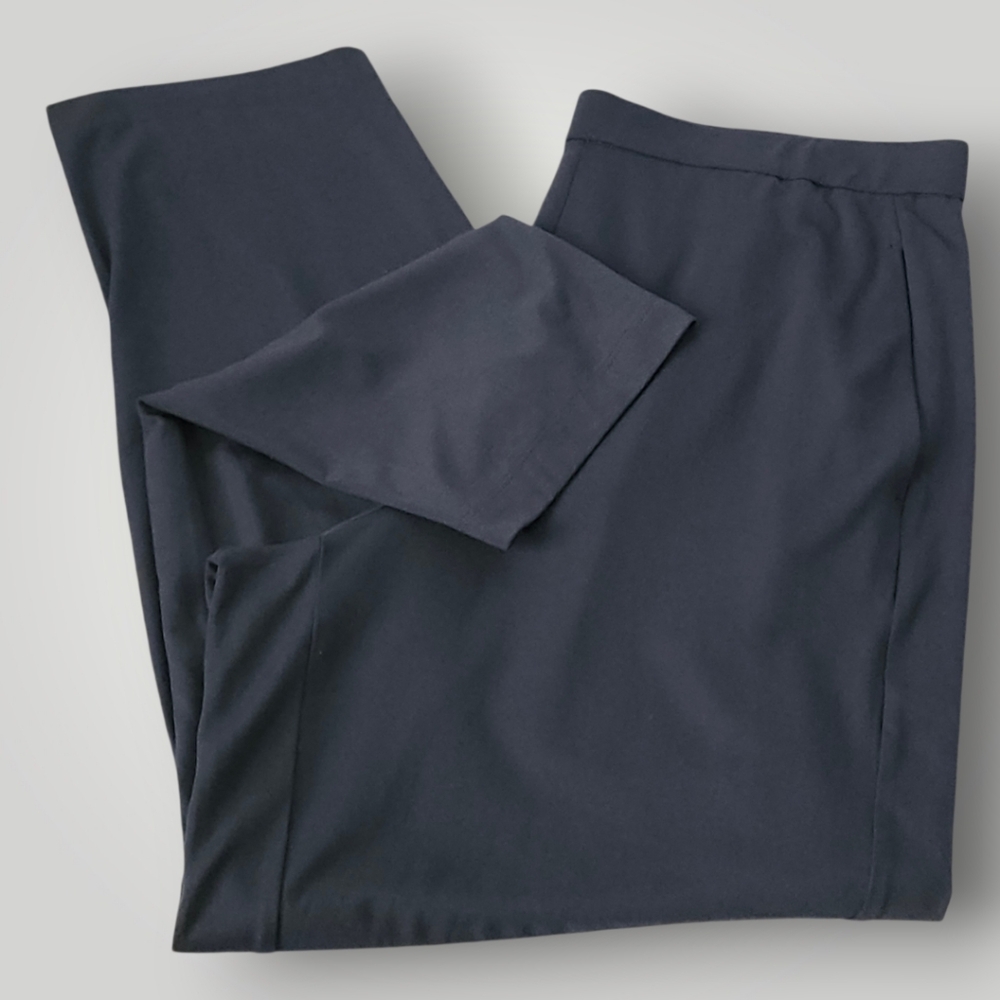 Eileen Fisher Large Gray TENCEL Lyocell Pants Sustainable Quiet Luxury‎ - Picture 2 of 9